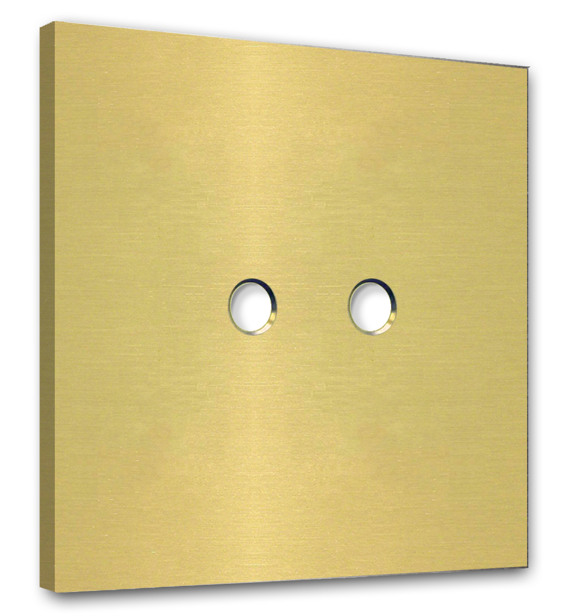 Retro toggle switch plate NINA 2-Gang.  Brass brushed metal. CJC Systems